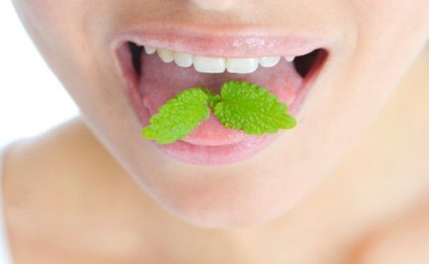 Secret Benefits Of Mint - Plattershare - Recipes, food stories and food lovers