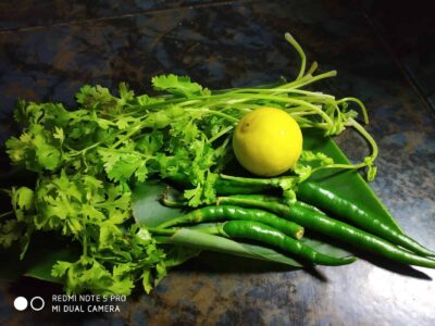 Nutrient-Rich Rajgira Tikki (Amaranth Fritters) for Fasting and Everyday Meals - Plattershare - Recipes, food stories and food lovers Fresh green cilantro, green chilies, lemon, and curry leaves on a dark surface.