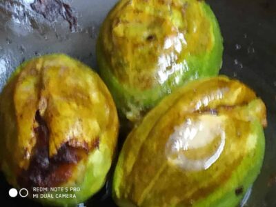 Spiced Stuffed Pointed Gourd: A Flavorful Bengali Vegetarian Recipe - Plattershare - Recipes, food stories and food lovers Ripened green apples showing signs of decay and rot, with brown spots and mold.