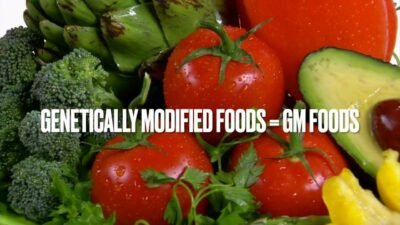 What are Genetically Modified Foods Pros and Cons