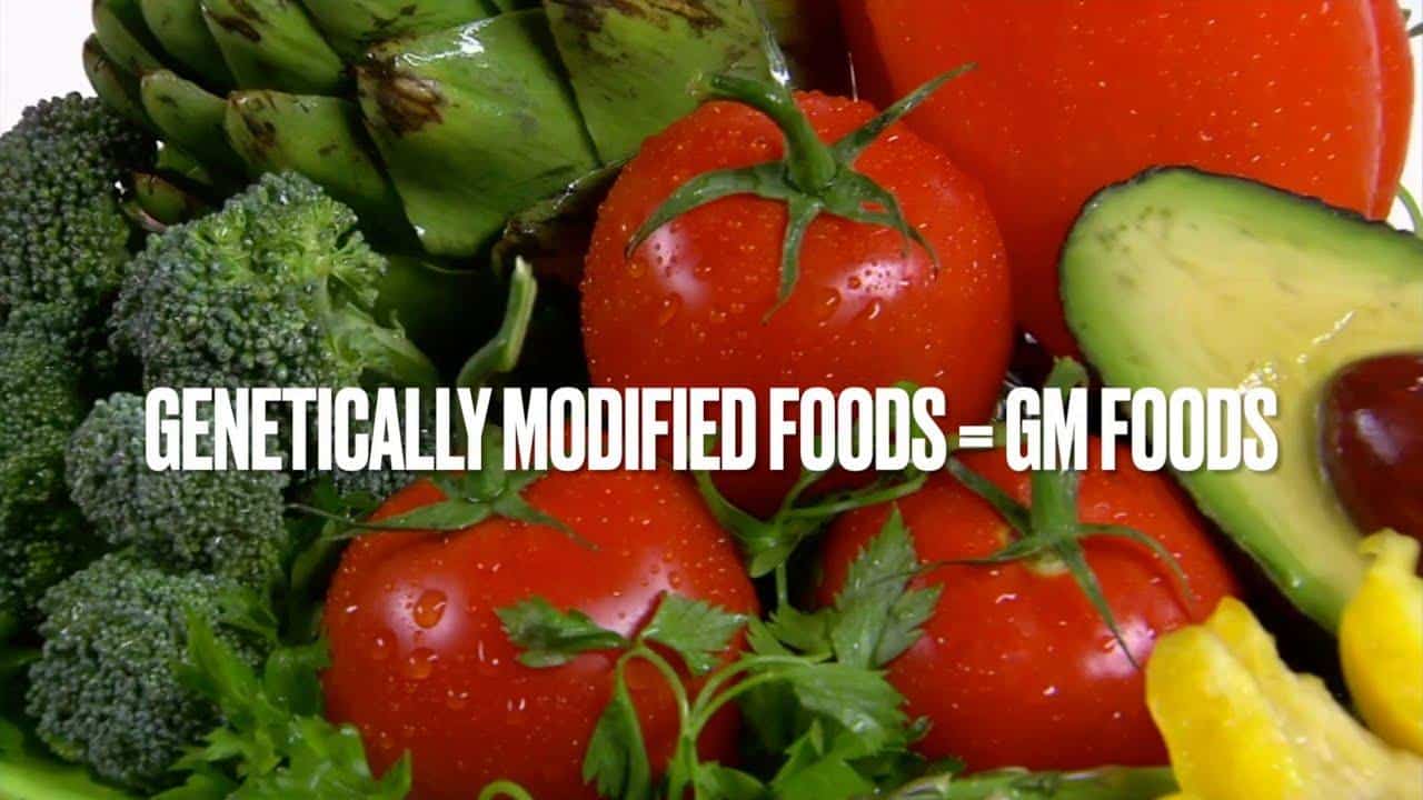 What Are Genetically Modified Foods Pros And Cons