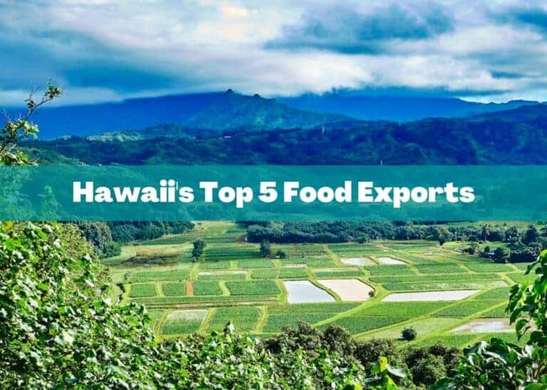 Hawaii's Top 5 Food Exports