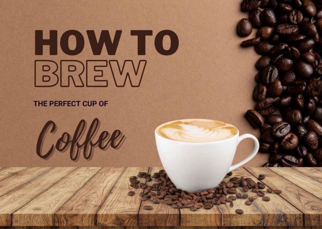 The Ultimate Guide To Making The Perfect Cup of Coffee