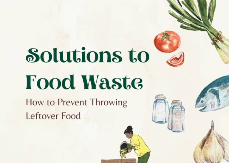 Solutions to Food Waste: How to Prevent Throwing Leftover Food