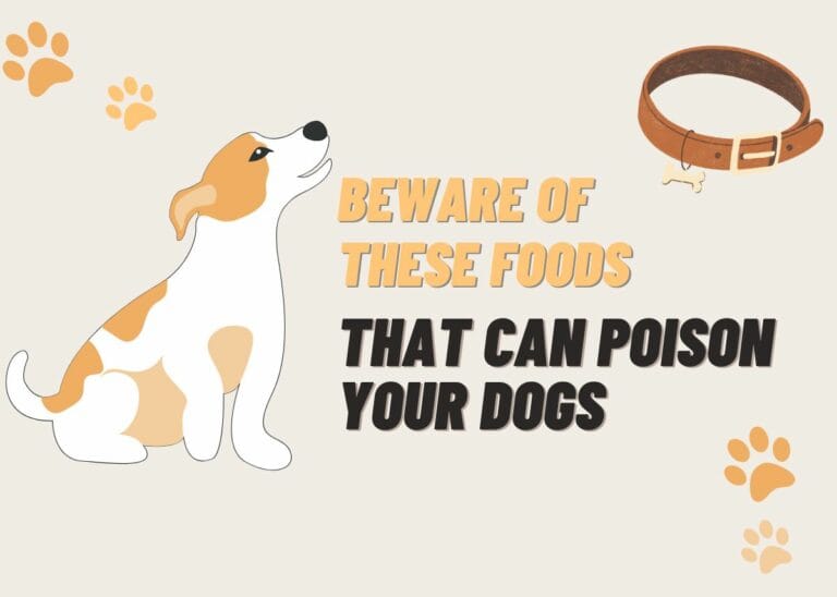Beware of These Foods That Can Poison Your Dogs