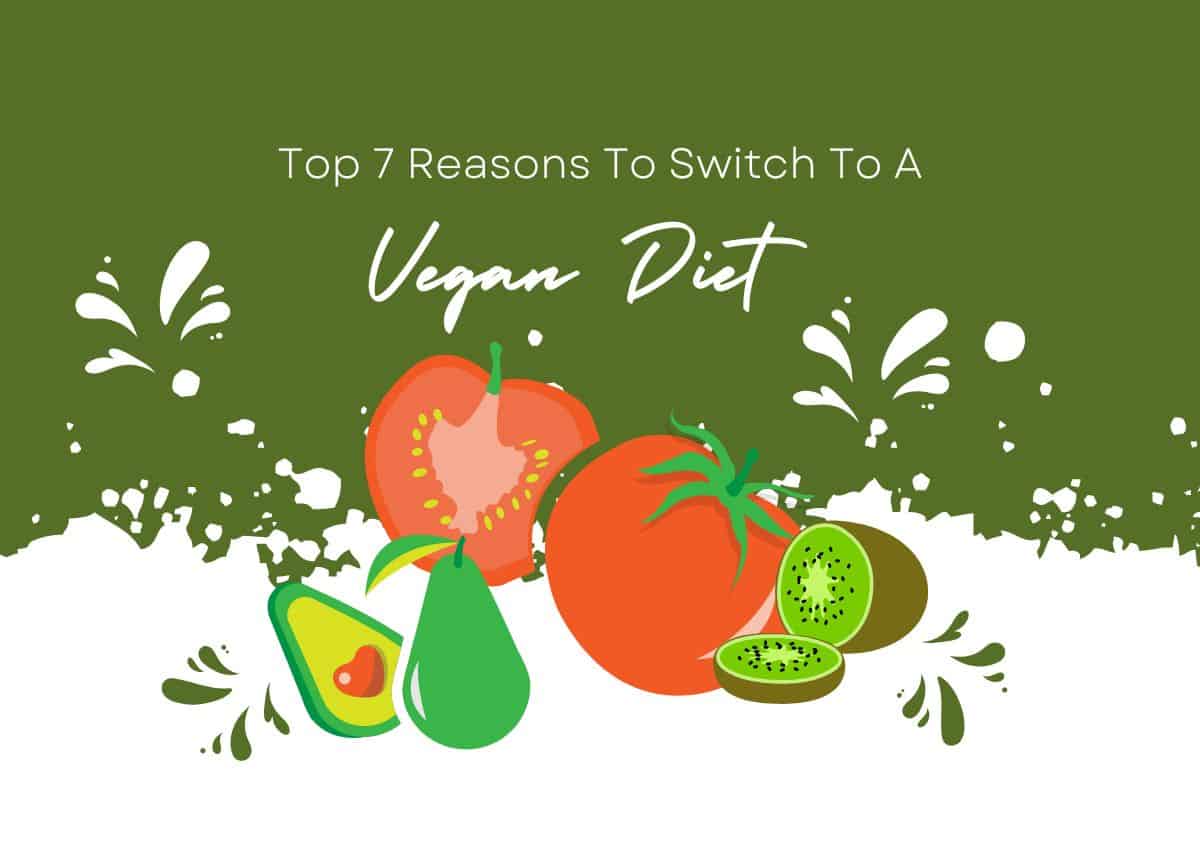 Top 7 Reasons To Switch To A Vegan Diet For Improved Health And Well-Being d
