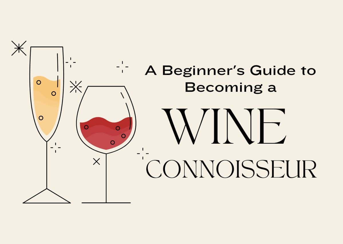A Beginner's Guide to Becoming a Wine Connoisseur