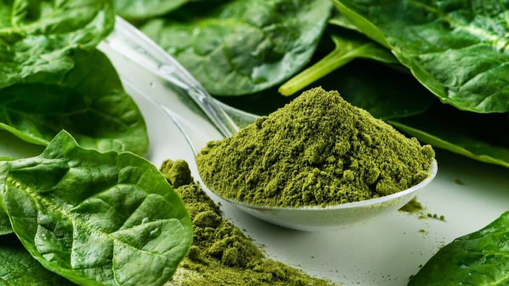 Are Vegetable Powders Healthy How are they Revolutionizing Healthy Eating
