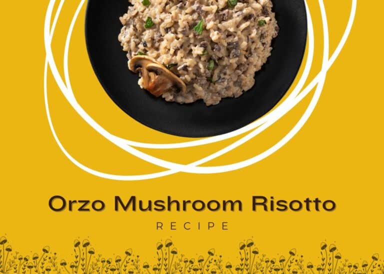 Delicious and Nutritious Orzo Mushroom Risotto Recipe