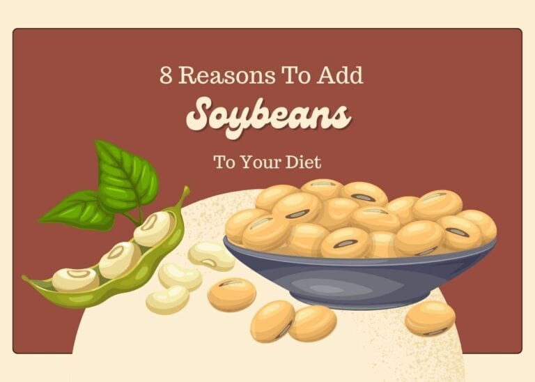 8 Main Reasons To Add Soybeans To Your Diet
