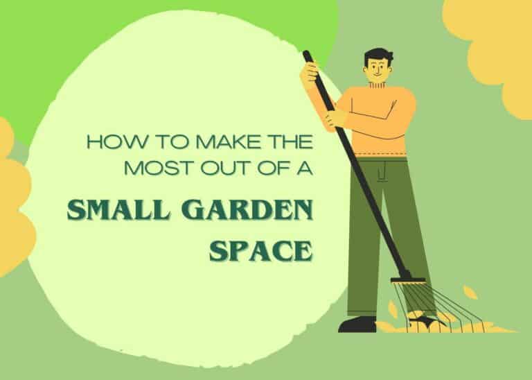Tips to Maximize Your Limited Garden Space