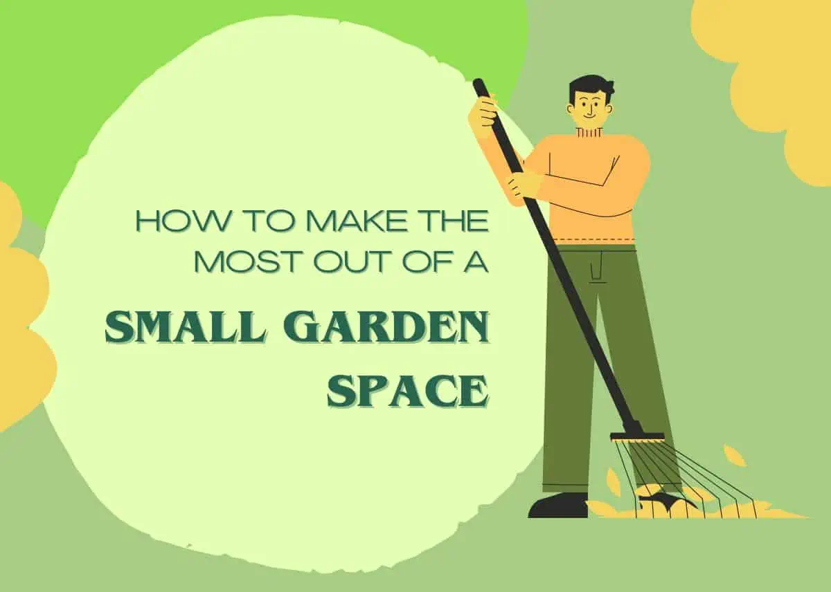 Tips to Maximize Your Limited Garden Space