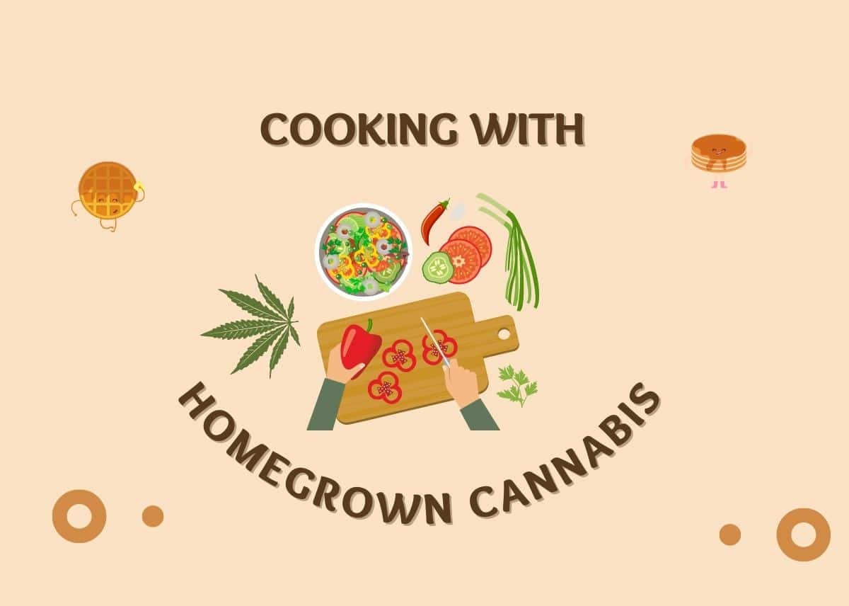 From Seed to Plate: Cooking with Homegrown Cannabis - A Culinary Adventure - Plattershare - Recipes, food stories and food lovers Cooking with Homegrown Cannabis