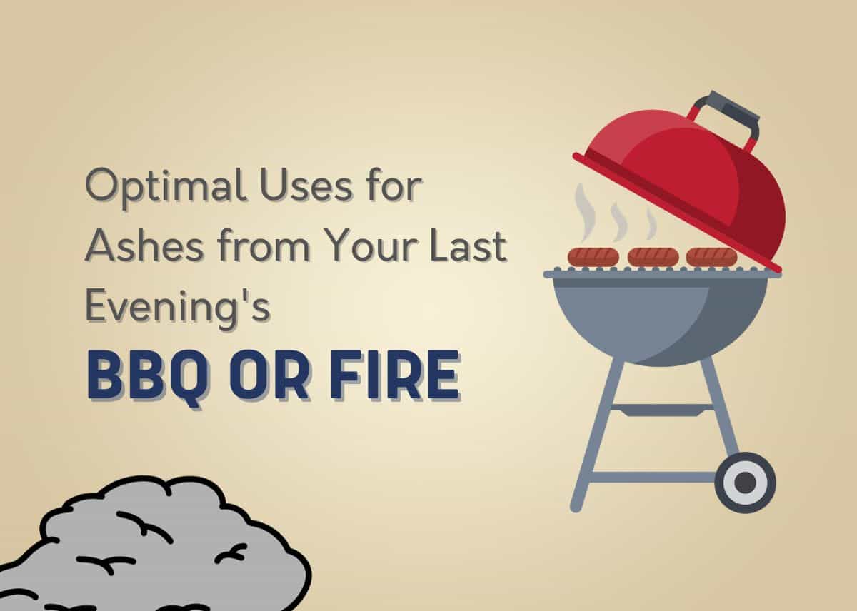 Optimal Uses for Ashes from Your Last Evening's BBQ or Fire