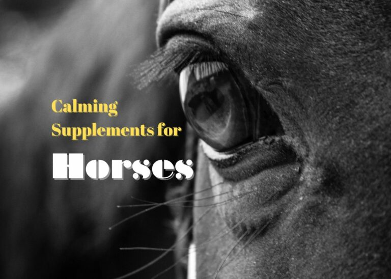 Calming Supplements for Horses
