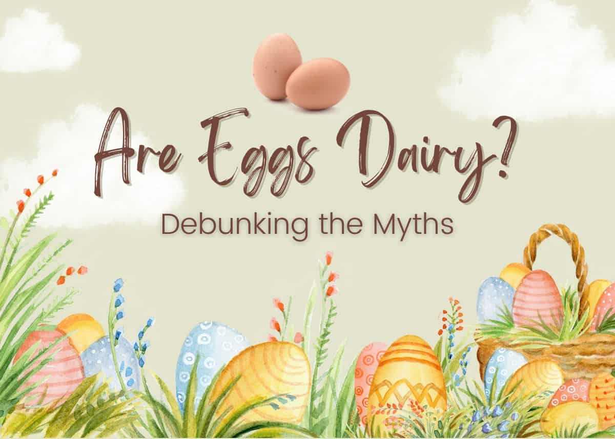 Debunking the Myths: Are Eggs Dairy?