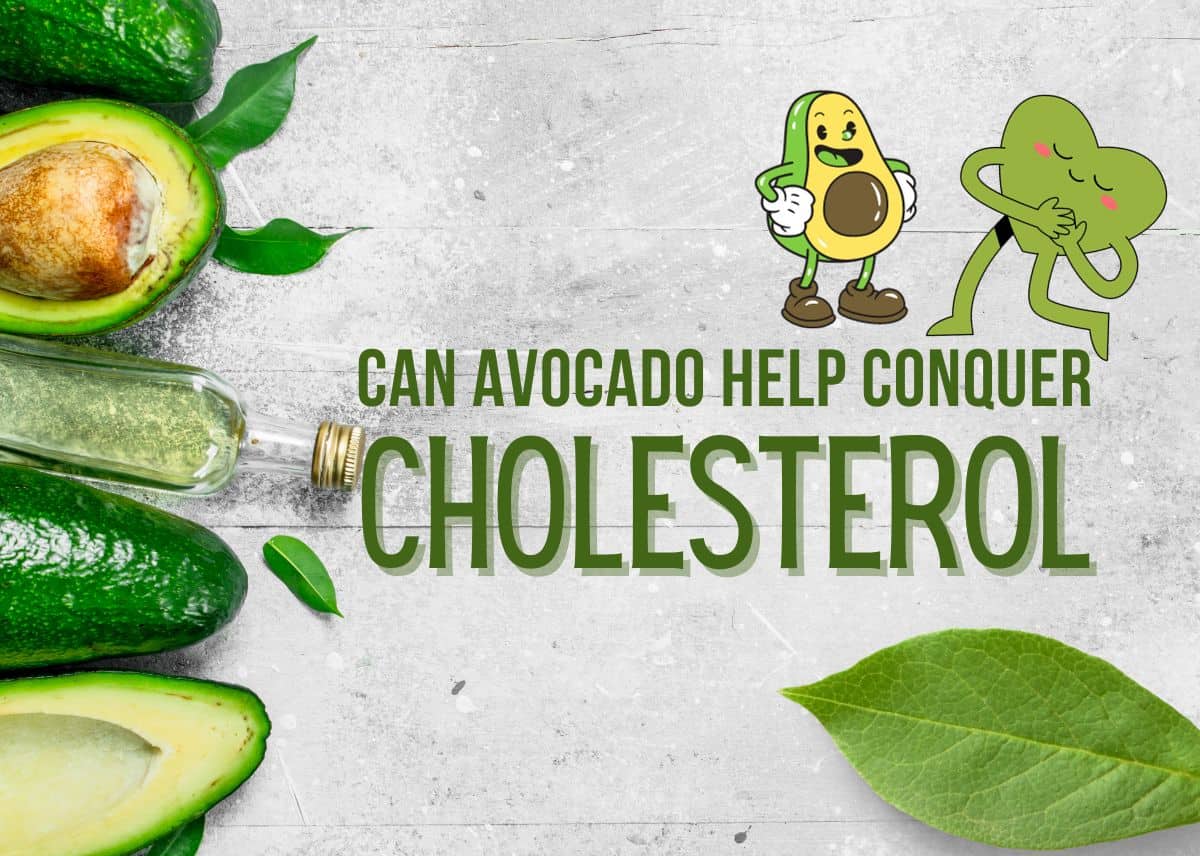 Can Avocado Help Conquer Cholesterol