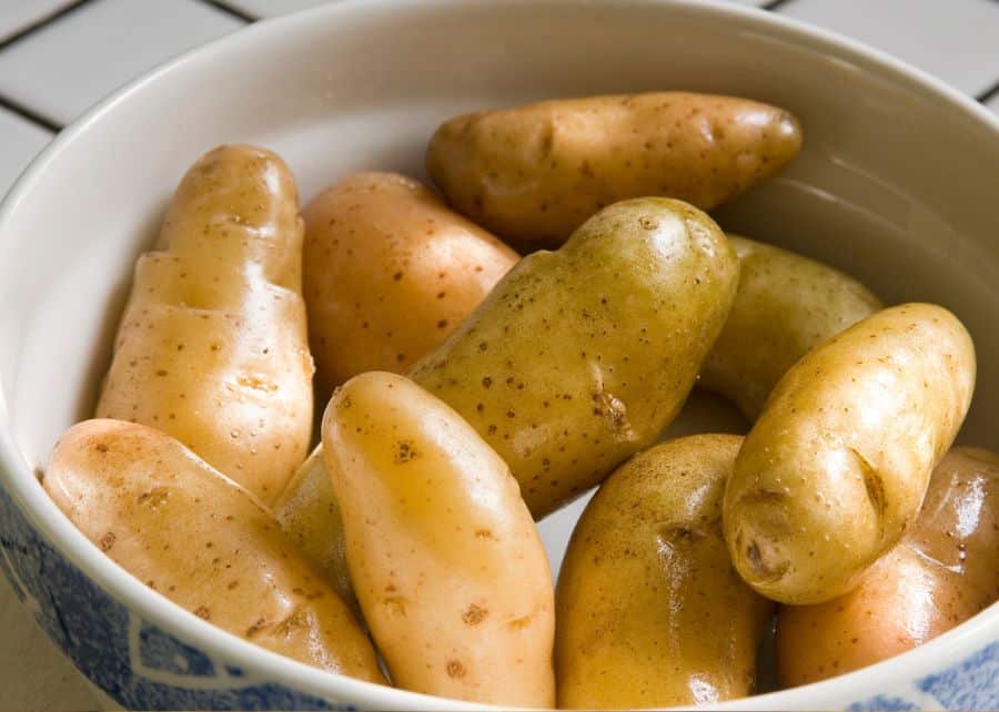 Perfect Potato for Mashed Potato