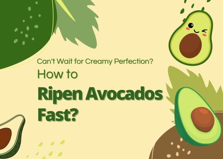 How to Ripen Avocados Fast