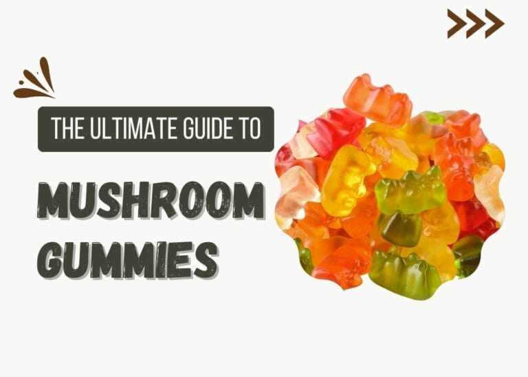 The Ultimate Guide to Mushroom Gummies