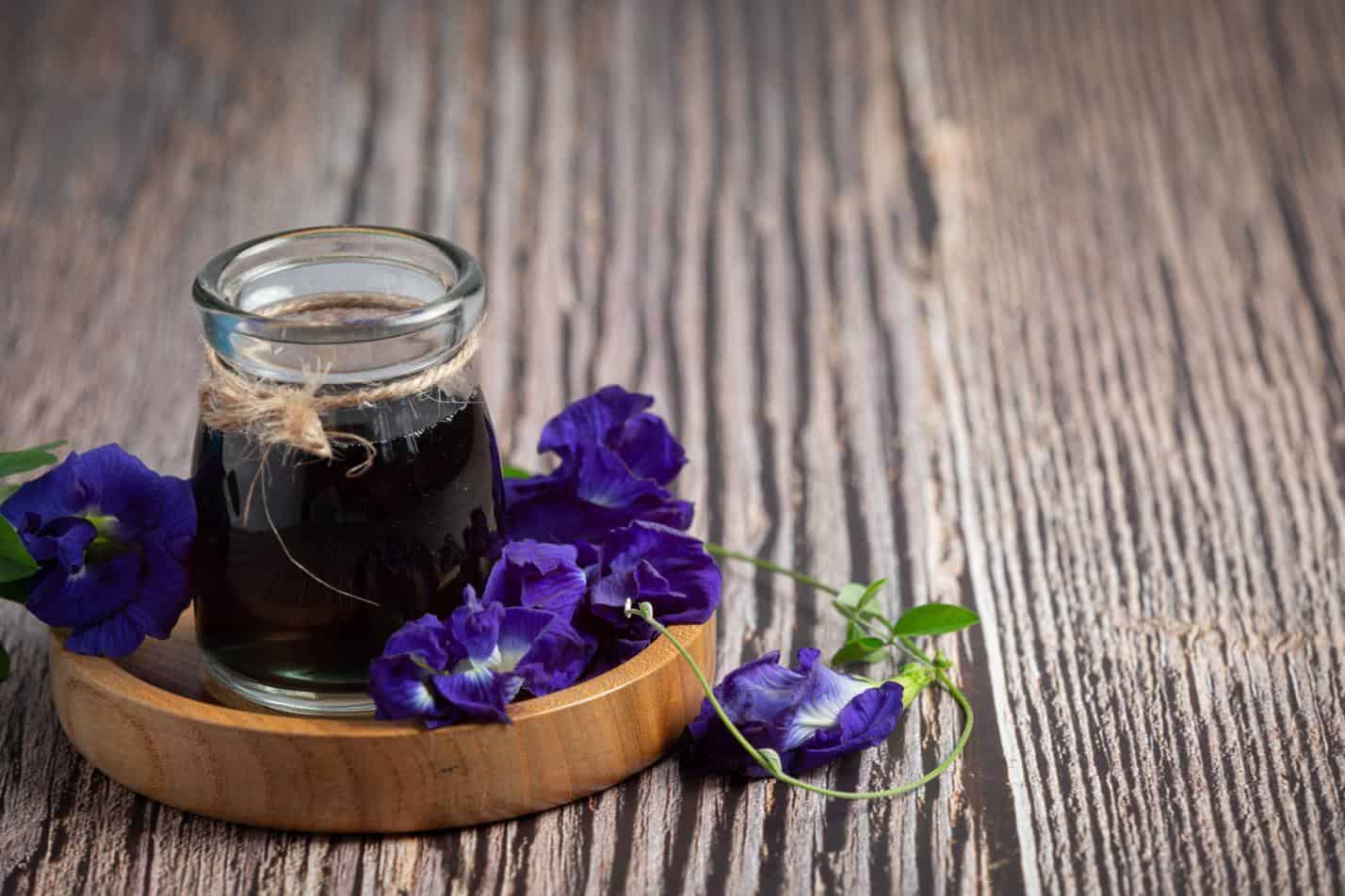 Why is Butterfly Pea Flower Extract A Natural Antioxidant Powerhouse