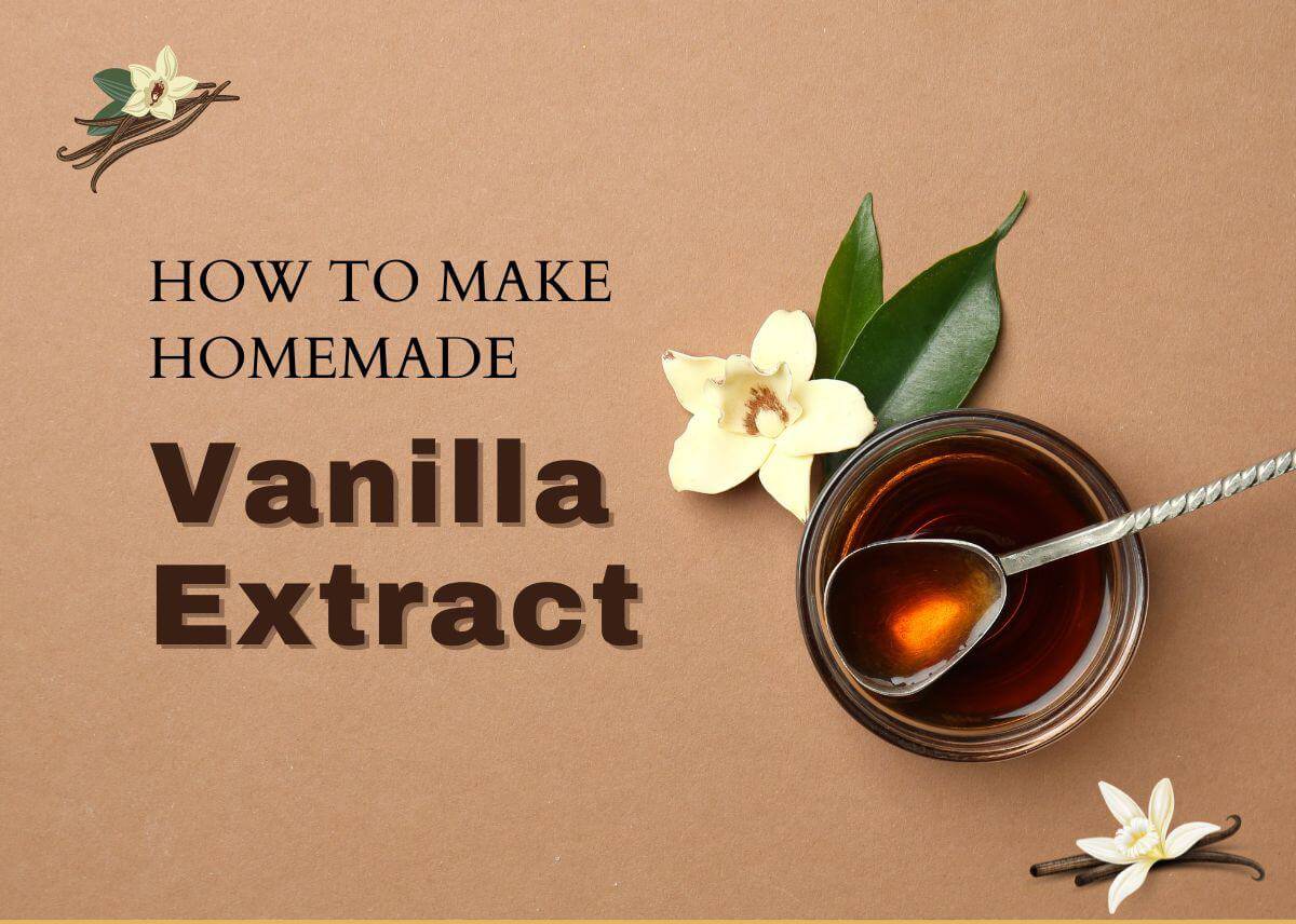 How to Make Homemade Vanilla Extract - Plattershare - Recipes, food stories and food lovers How to Make Homemade Vanilla Extract