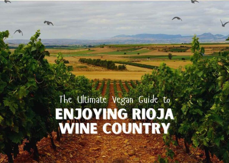 The Ultimate Vegan Guide to Enjoying Rioja Wine Country