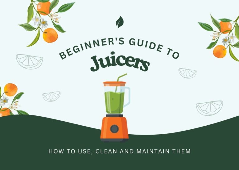 Beginner's Guide To Juicers: How To Use, Clean And Maintain Them - Plattershare - Recipes, food stories and food lovers Healthy citrus juice in a blender with orange slices and leaves for beginners.