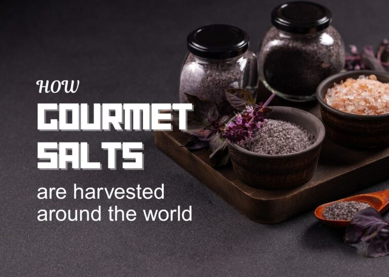 Here’s How Gourmet Salts are Harvested Around the World - Plattershare - Recipes, food stories and food lovers Here’s How Gourmet Salts are Harvested Around the World