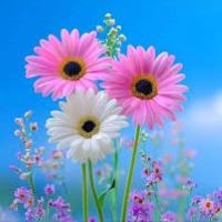 Group Online Yoga Classes for Everyday Fitness – Perfect for Beginners! - Plattershare - Recipes, food stories and food lovers Ketika Kumra - Study Abroad Consultant: Your Partner in Overseas Education: Study in Canada, UK, Australia, USA & Europe