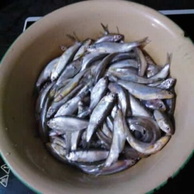 Crispy Tiny Fish: A flavorful, nutritious snack perfect for health-conscious food lovers.