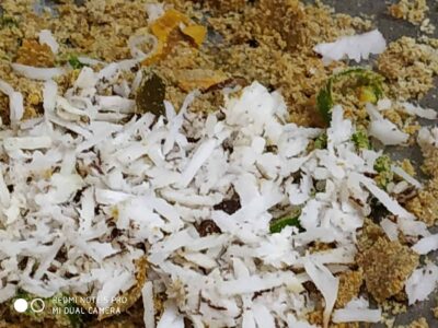 Shredded coconut and crunchy toasted gram flour mixture with spices, garnished with green chilies.