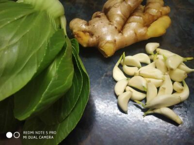 Fresh herbs, ginger, and garlic for cooking recipes and food storytelling.