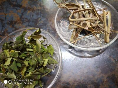 Dried herbs and twigs in glass bowls for cooking or herbal remedies.