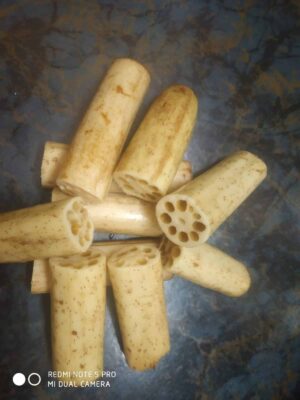 Lotus Stems Kofta Curry