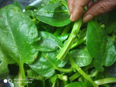 Pui data with prawn