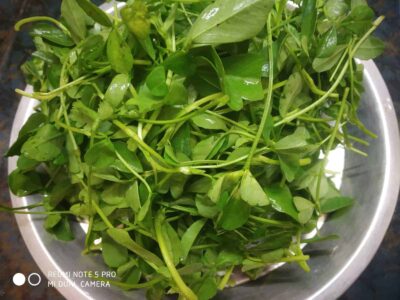Fenugreek steamed veg wrap