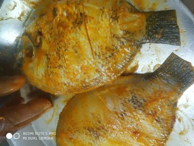 Patrani machhi